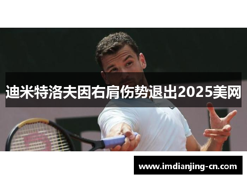 迪米特洛夫因右肩伤势退出2025美网
